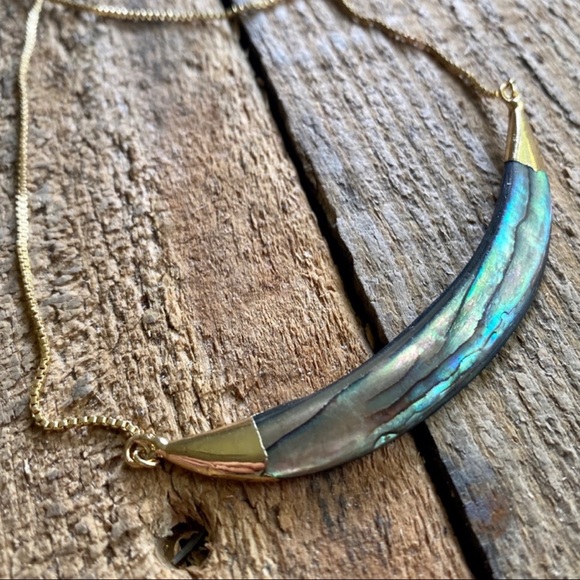 Abalone Shell Adjustable Crescent Gold Necklace - Picture 2 of 4
